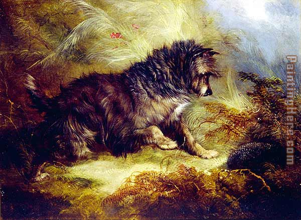 A Terrier and a Hedgehog painting - George Armfield A Terrier and a Hedgehog art painting